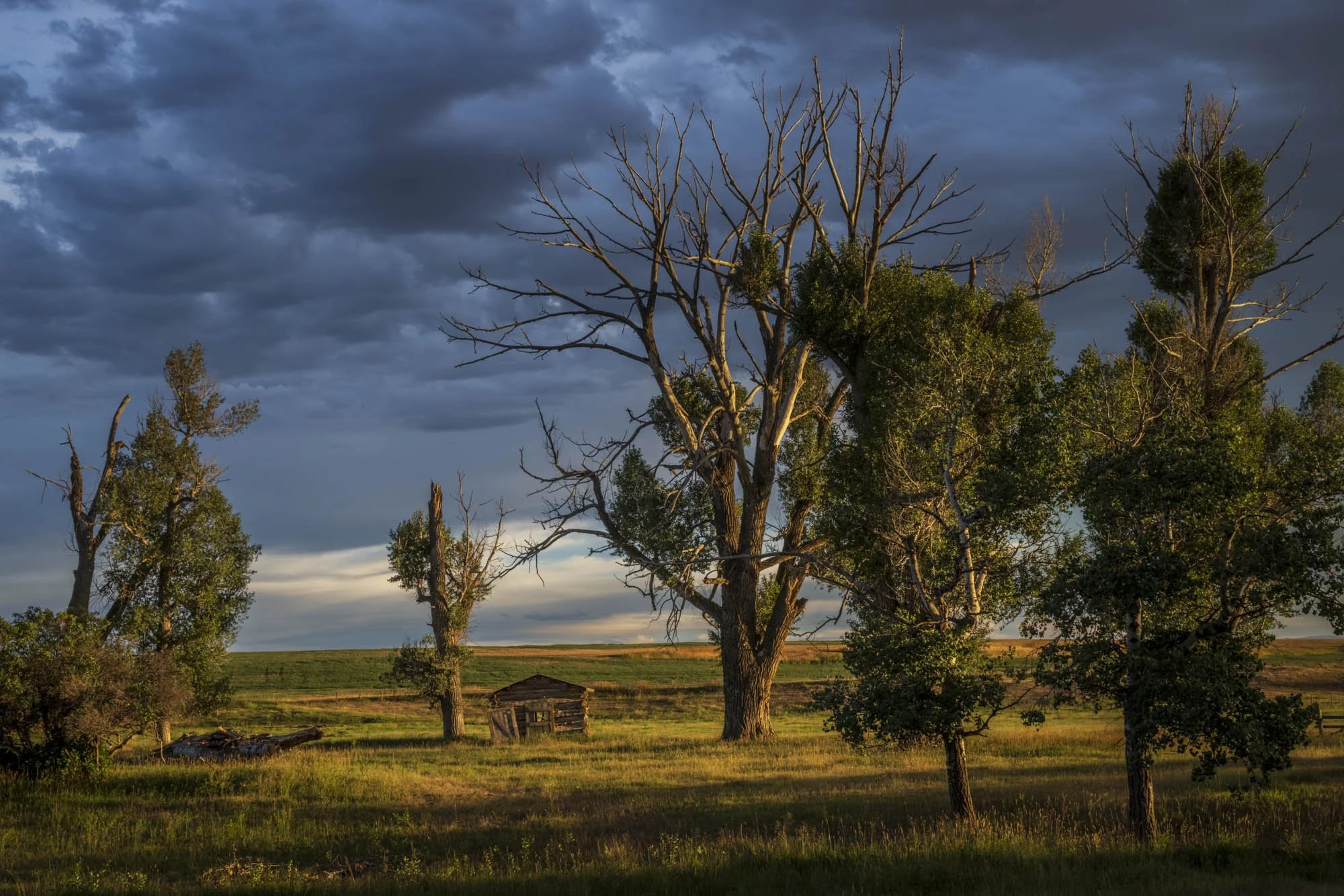Pass Creek Shack