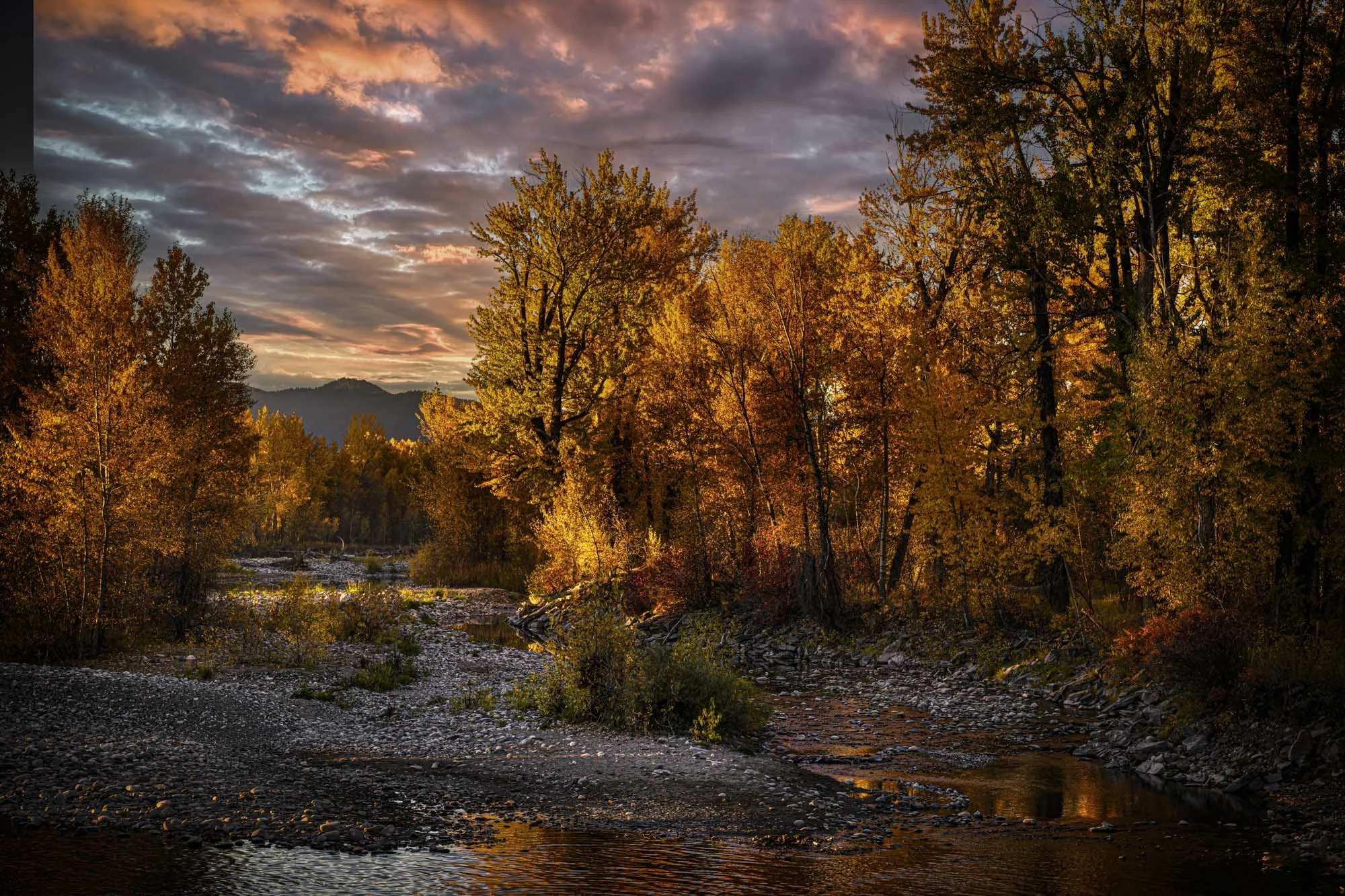 West Gallatin River