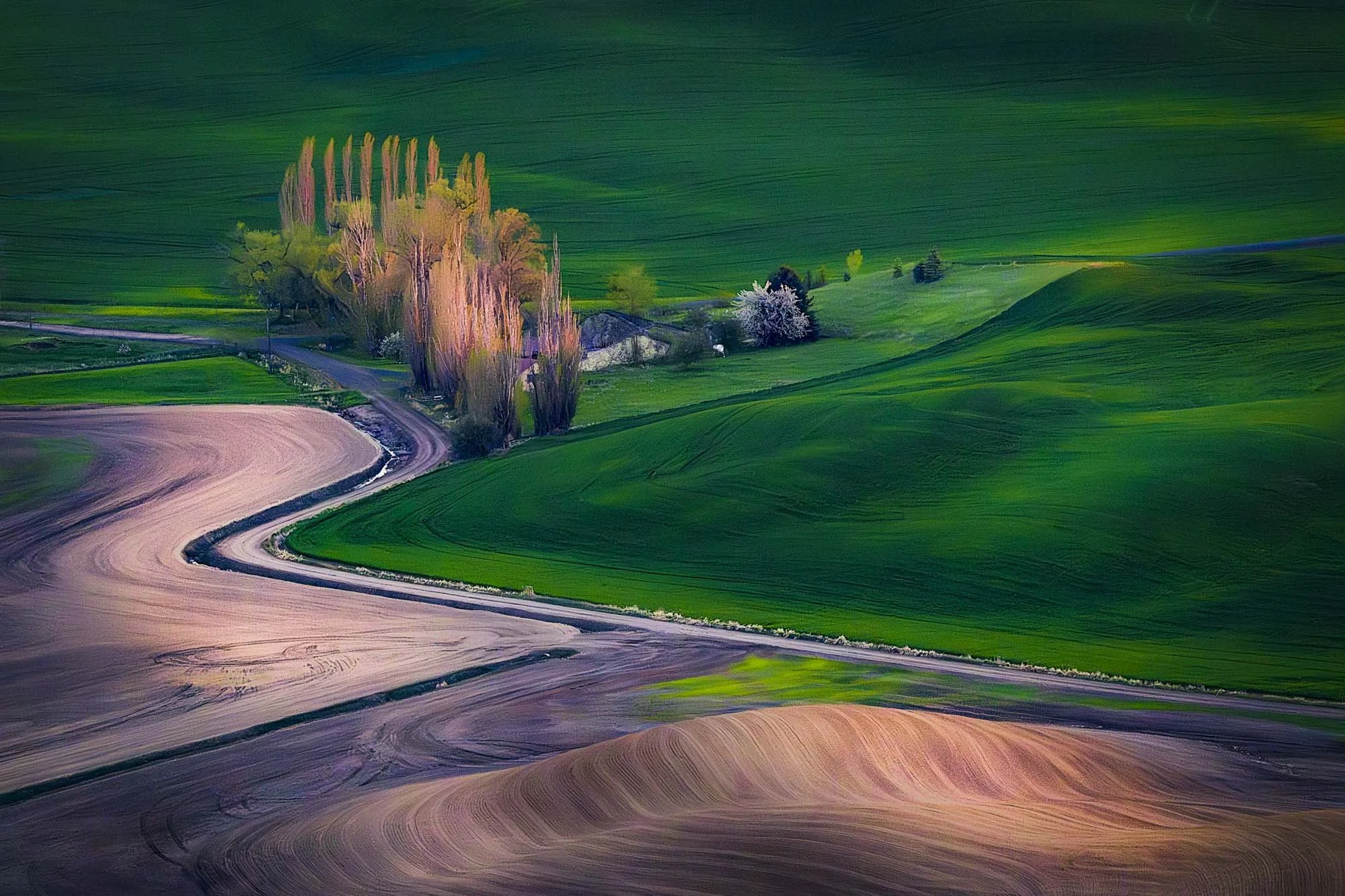 Steptoe Butte - Palouse