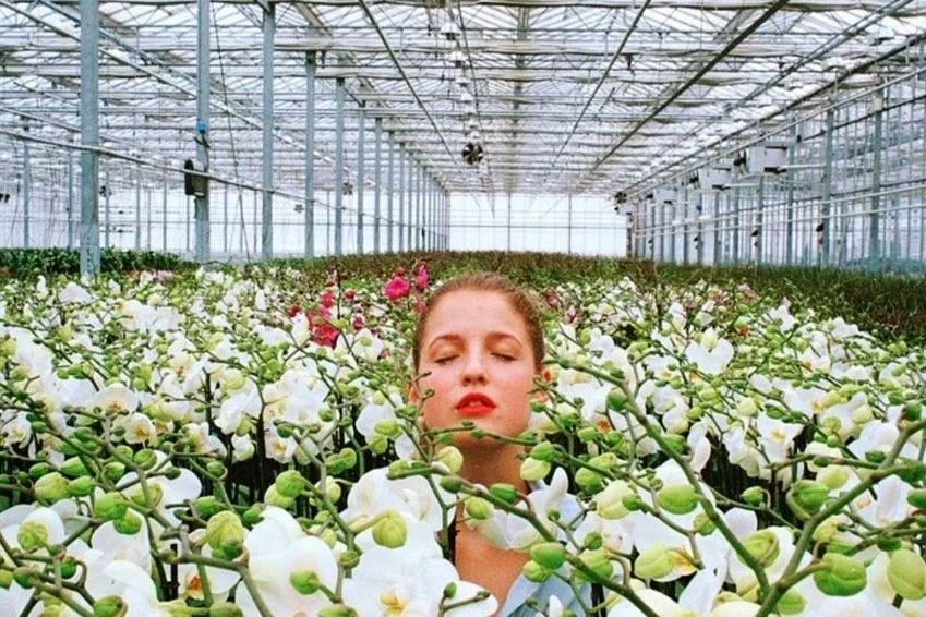 THE ARTISTRY OF FRACTIONAL CONSULTING: NAVIGATING INNOVATION IN A DIGITAL ERA