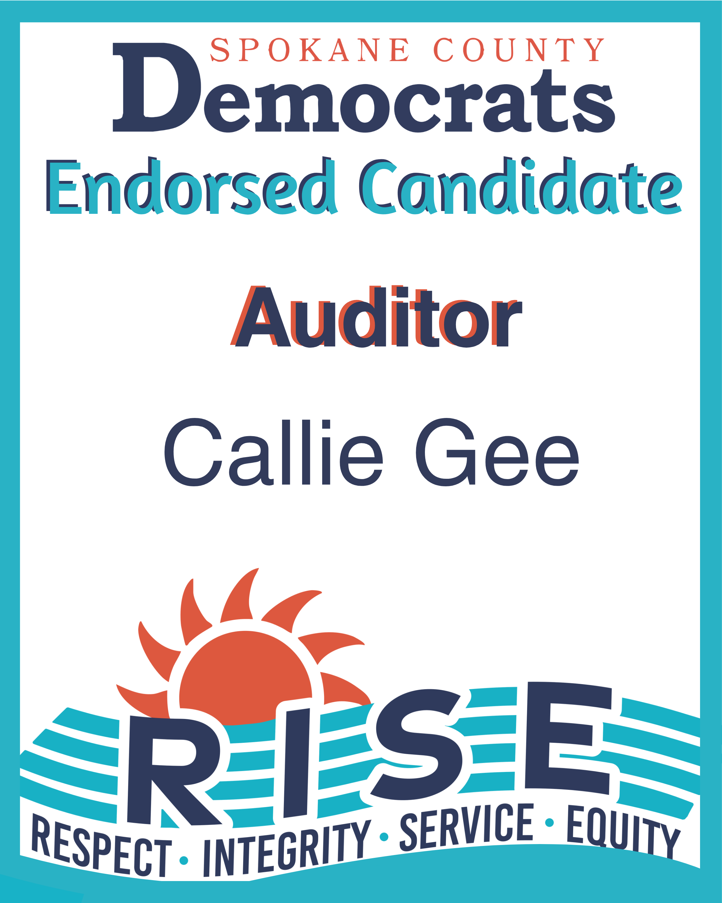 Endorsement Auditor.png