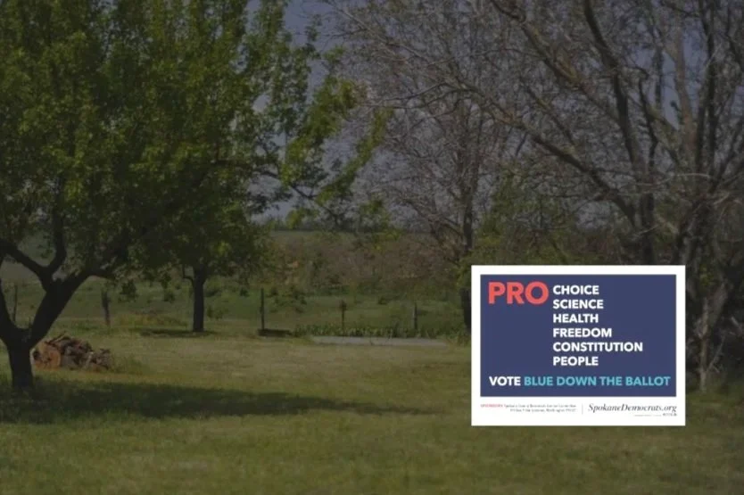 yard with dems sign.jpg