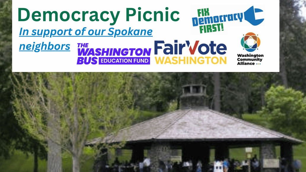 democracy-picnic-ucarecdn.jpg