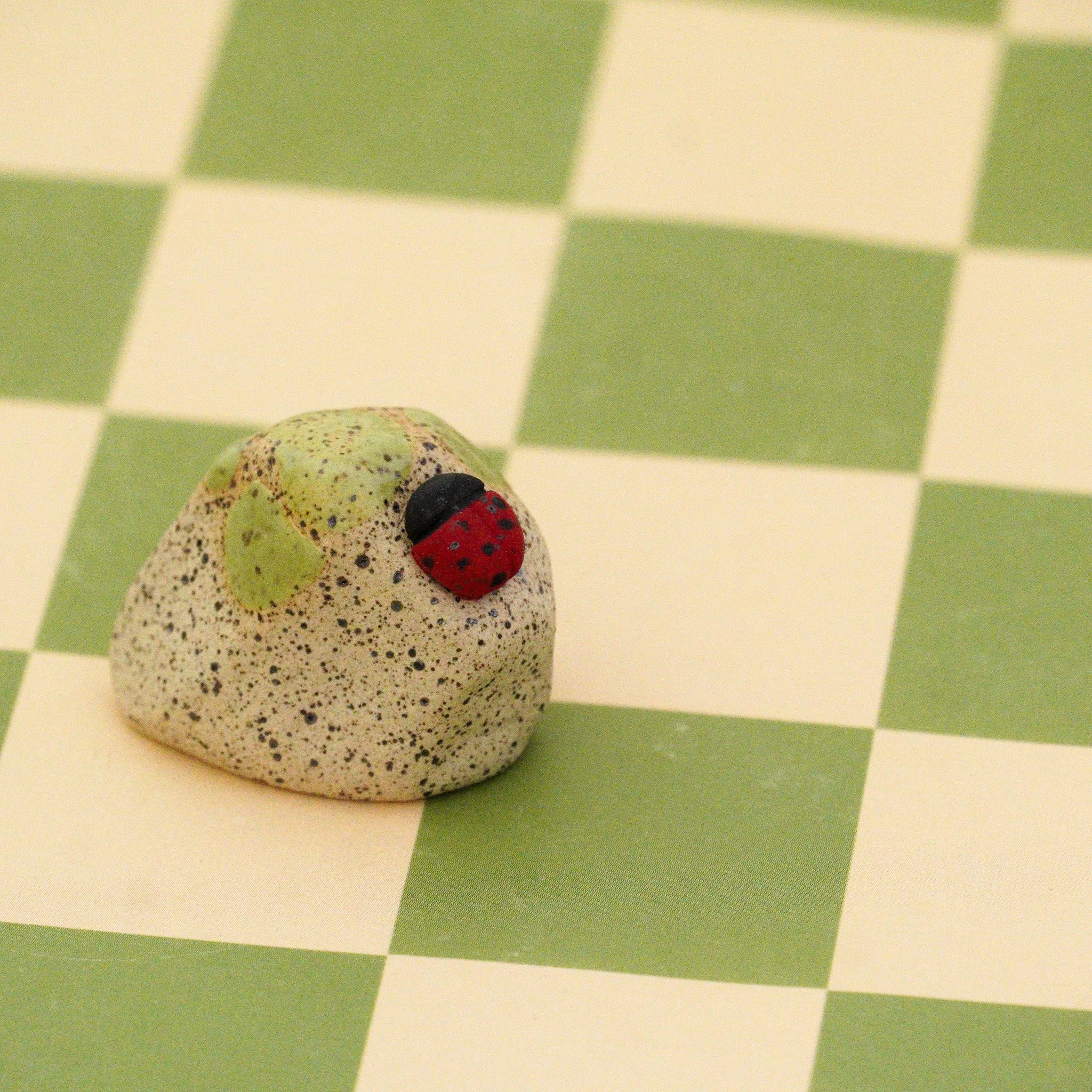 Rock ladybug2.jpg