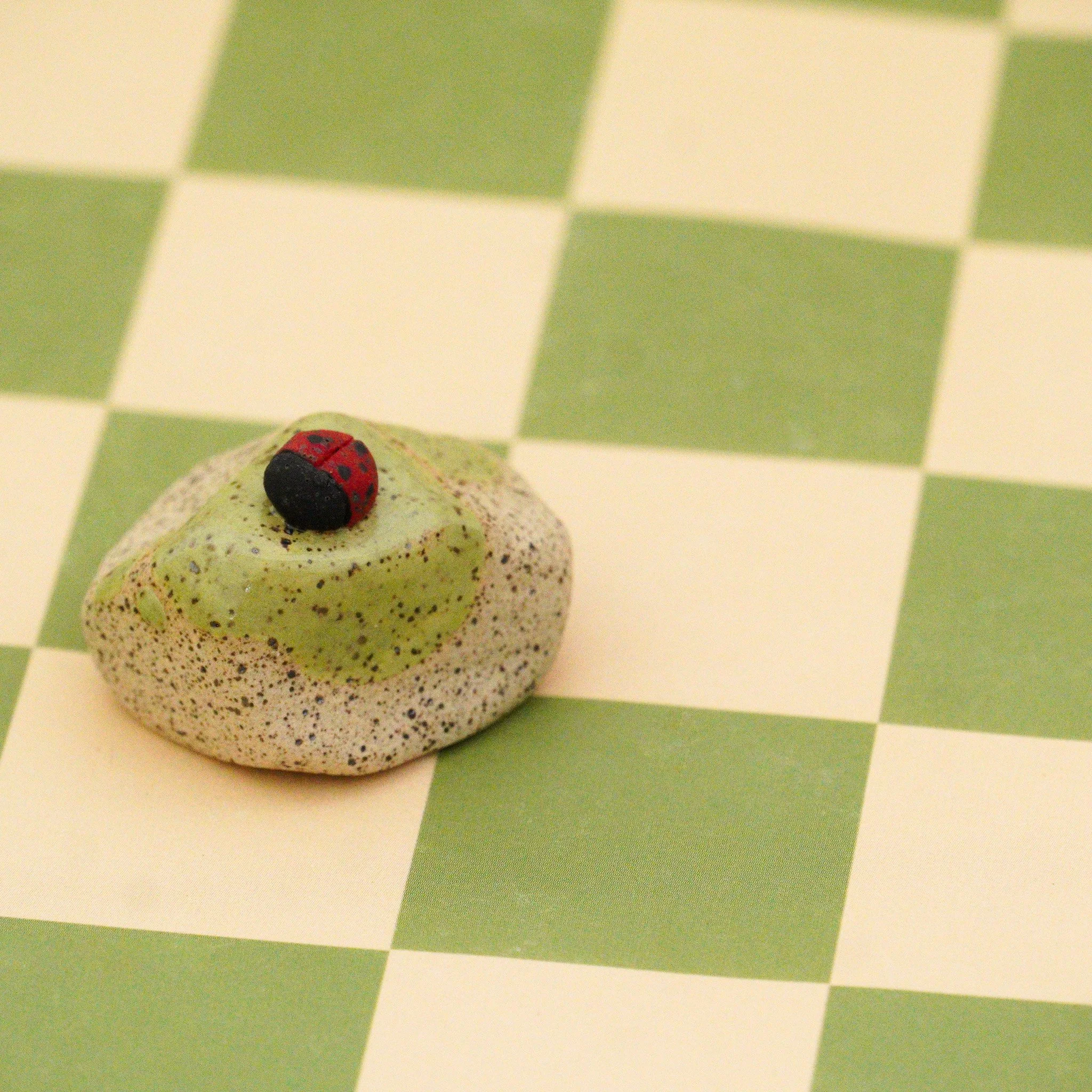 Rock ladybug1.jpg