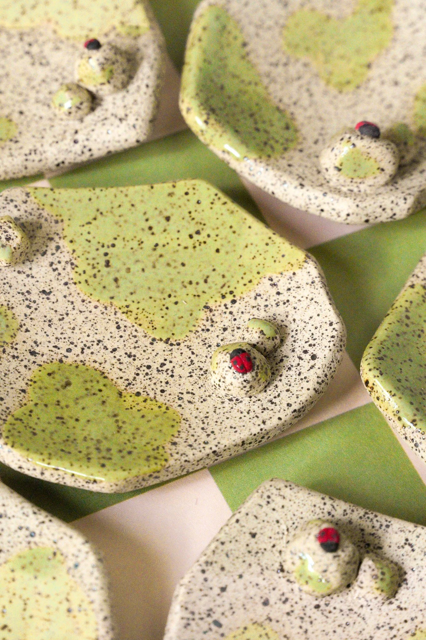 Rock Dish