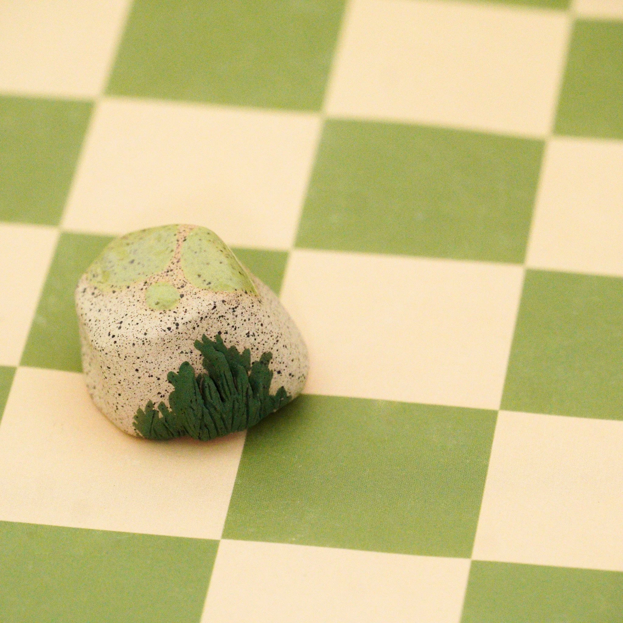 rock grass.jpg