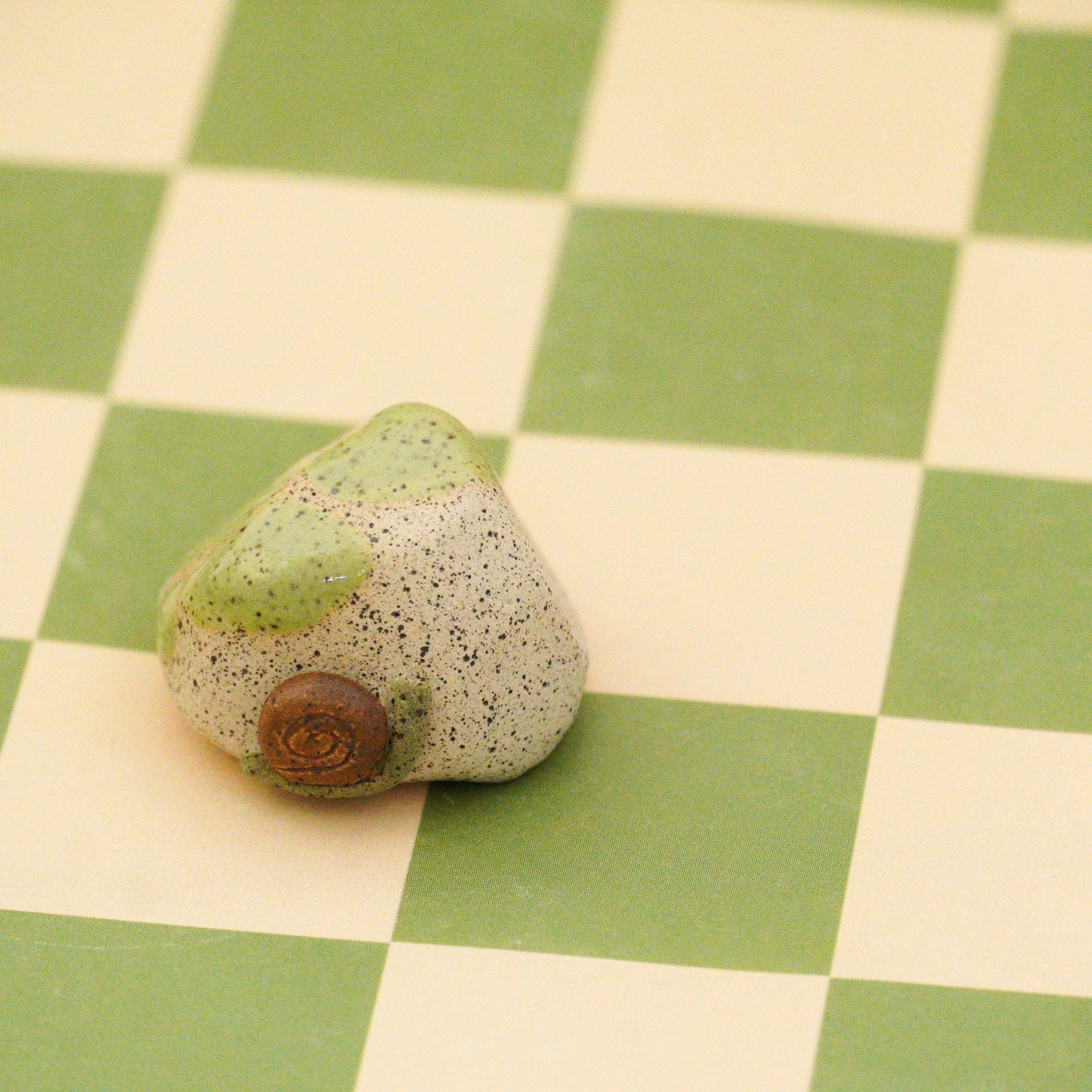 rock snail.jpg