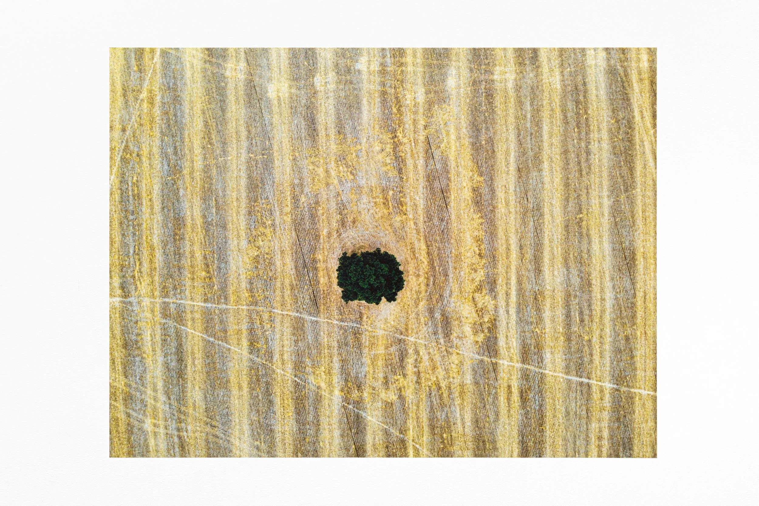  Yilong Li  
 Where Have All The Soldiers Gone?  
2025 
Inkjet on vinyl 
36 x 25 in.
