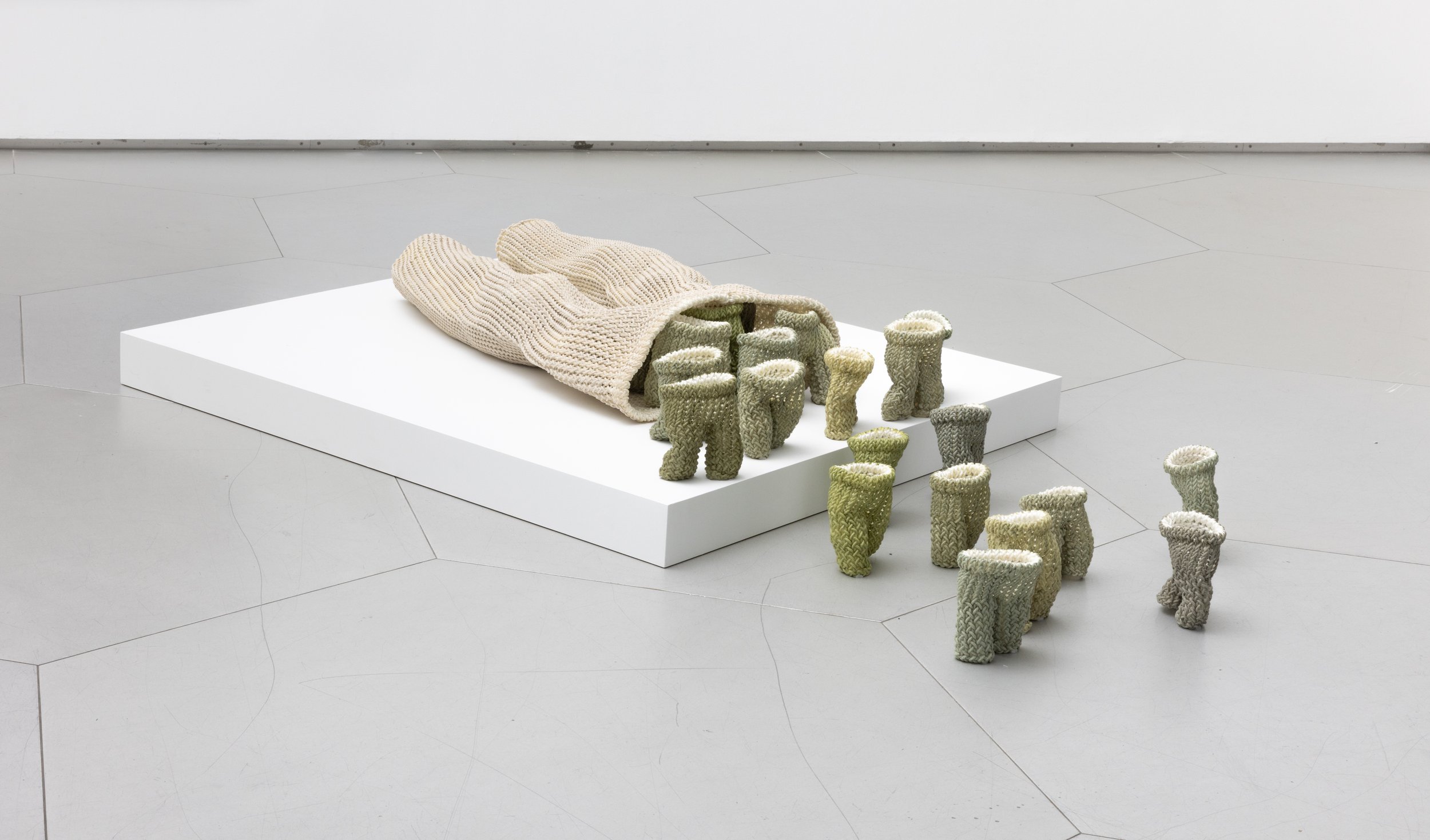  Julianna Dail  
 Modern Retreat  
2008–09 
Nylon rope, acrylic paint, and resin 
8 x 64 x 36 in.
