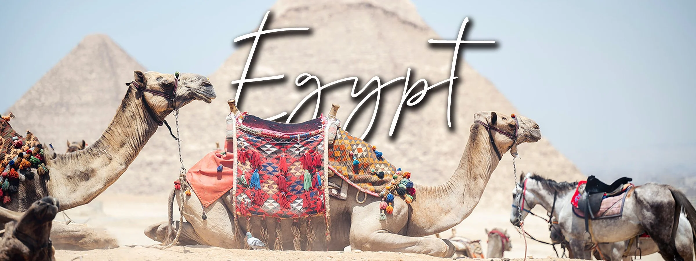 Egypt.jpg