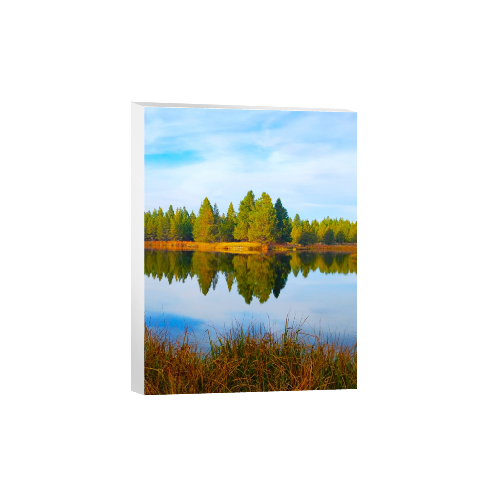 ptq_7_5_0_405_2250_3000_0_false_ffffff_0_0_.png