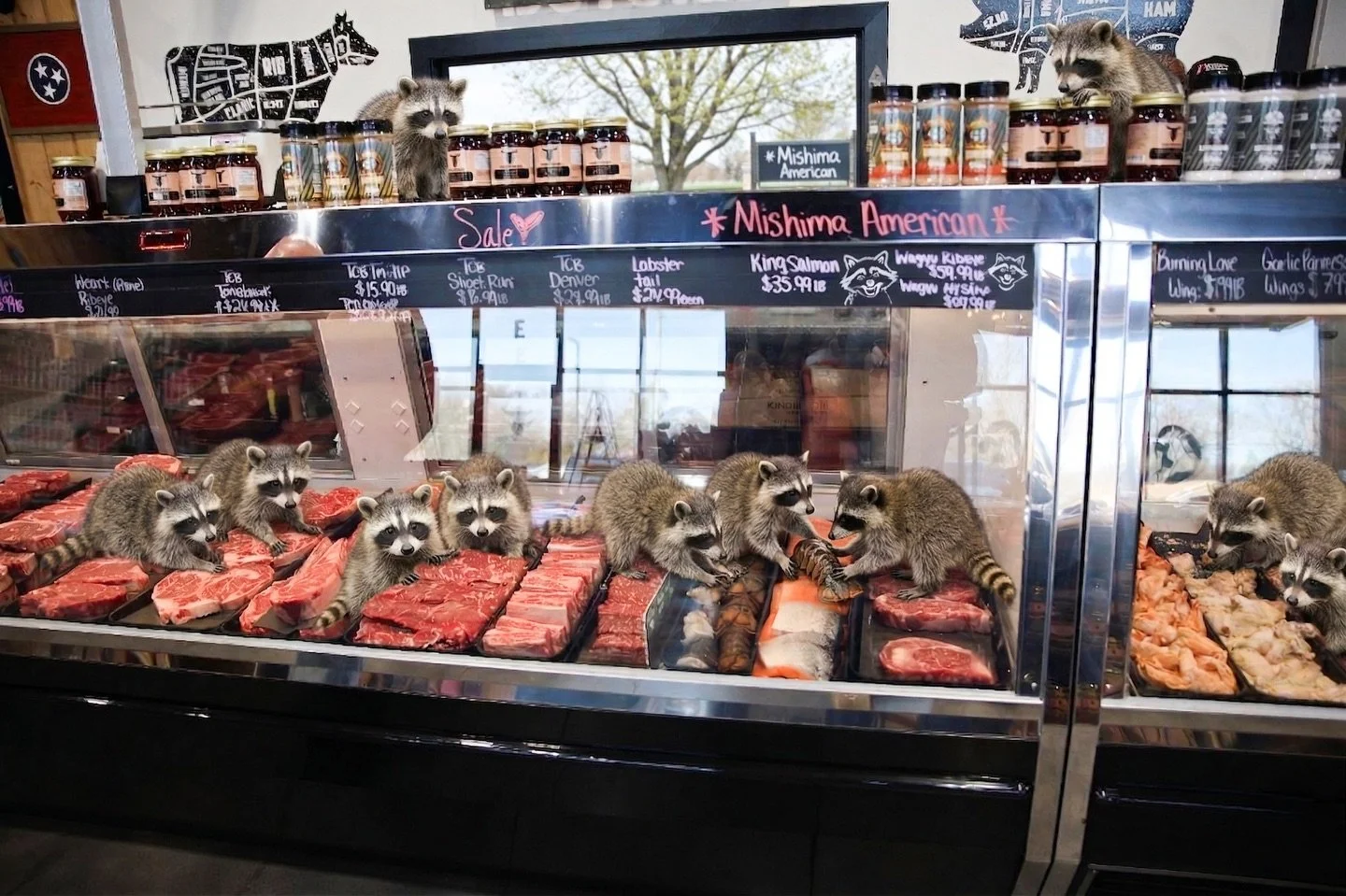 Looks like the local &ldquo;trash pandas&rdquo; heard we had the best cuts in town and decided to skip the dumpster for TCB! Don&rsquo;t worry, our team has everything under control (and the real meat is safe).