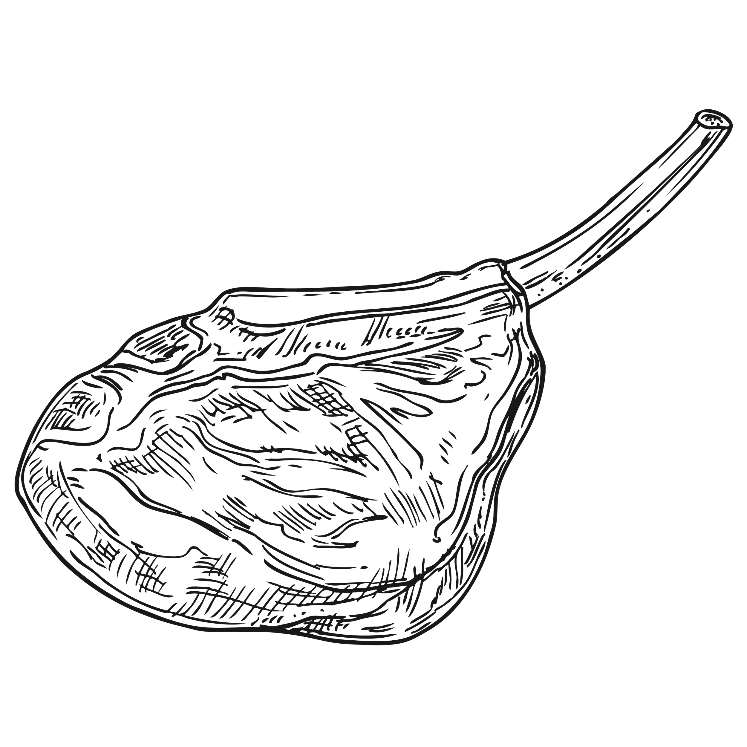 TN Craft Butcher | Experience Premium Meats Today