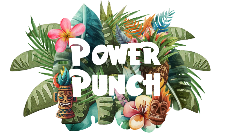 Power Punch Project
