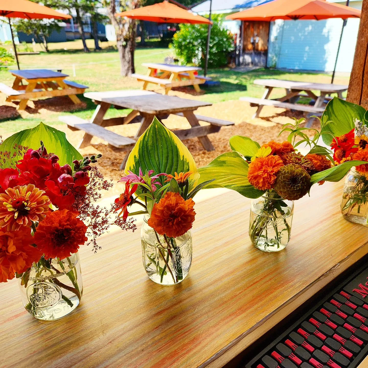 Mo rain, mo flowers! The sun should be out by the time you get here, and the tunes that were supposed to happen last night will start tonight at 5!🎶🌈Hope to see you!