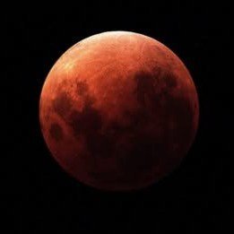 Do you have a passion for lunar eclipses?
Positive news with #candokiwis 
In pictures: Only lunar eclipse of 2026 graces NZ skies. Budding astronomers and photographers have ditched sleep overnight to lay eyes on a total lunar eclipse over New Zealan