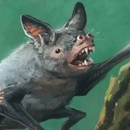 Do you have a passion for fossils?
Positive news with #candokiwis 
Tiny extinct bat found in NZ fossil record. A palaeontologist studying fossil fragments in Central Otago has identified a previously unknown, but now extinct, bat. University of New S