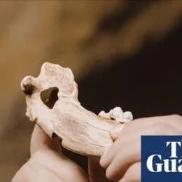 Do you have a passion for dogs? 
Lifelong Learning with #candokiwis 
Interesting fact. Bond between dogs and humans dates back more than 15,000 years, study finds. Research suggests hunter-gatherers were feeding dogs and giving them ritual burials as