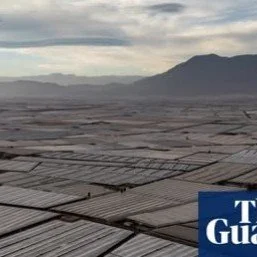 Do you have a passion for the environment? 
Lifelong Learning with #candokiwis 
Interesting fact. Farming in Europe. &lsquo;Visible from space&rsquo;: why Spain has the world&rsquo;s biggest concentration of greenhouses. Andalusia houses &lsquo;Europ