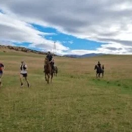 Do you have a passion for running or riding?
Positive news with #candokiwis 
'They're better at running than we are' - Only Fools and Horses race returns for round two. Who is willing to try their luck and running prowess against a horse? Only fools,