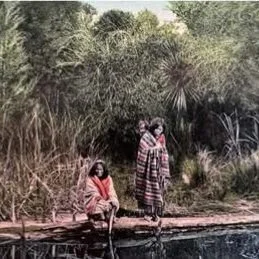 Do you have a passion for postcards?
Positive news with #candokiwis 
The postcard that made its way home to Dunedin after 116 years. "Dear Little Alison, Another postie for your book. I wonder if you can put it in for yourself - or perhaps you h