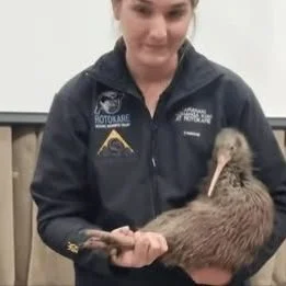 Do you have a passion for Kiwi?
Positive news with #candokiwis 
Kiwi bird steps into Parliament to celebrate Capital Kiwi project growth. New Zealand's national icon has set foot in Parliament for the first time as Wellington's burgeoning kiwi popula