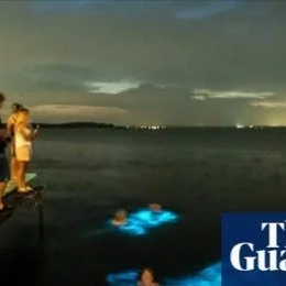 Do you have a passion for Algae? 
Lifelong Learning with #candokiwis 
Interesting fact. Bioluminescent algae&rsquo;s blue light harnessed to make 3D-printed shapes. Scientists suggest algae could be embedded within biosensors that glow when toxins de