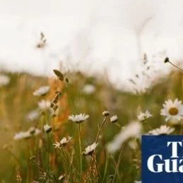 Do you have a passion for photography?
Positive news with #candokiwis 
Britain and Ireland&rsquo;s wildflowers &ndash; in pictures. The Eden Project&rsquo;s National Wildflower Centre is opening entries for its Wildflower Photographer of the Year 202
