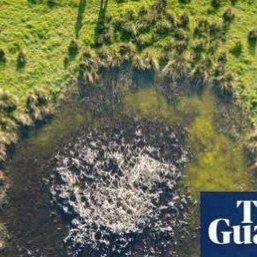 Do you have a passion for nature? 
Lifelong Learning with #candokiwis 
Interesting fact. From V2 rocket-scarred London to Ukraine: how nature thrives in bomb craters. In the UK capital, Bomb Crater Pond is full of wildlife, while scientists studying 