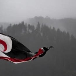 Do you have a passion for language?
Positive news with #candokiwis 
Māori word 'kaitiakitanga' named world's most beautiful by language app. A Māori word describing the responsibility to care for the natural world has been named the world's most beau