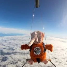 Do you have a passion for science?
Positive news with #candokiwis 
School students successfully launch high-altitude balloon into the atmosphere. Lower Hutt primary school students have successfully launched and retrieved a weather balloon which went