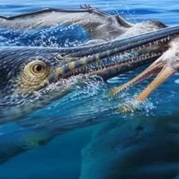 Do you have a passion for science? 
Lifelong Learning with #candokiwis 
Interesting fact. Fossilised remains of prehistoric predators unearthed in Queensland. Fossils found in north-west Queensland have given palaeontologists "direct evidence&qu
