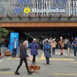 Do you have a passion for transport?
Positive news with #candokiwis 
'It's amazing': Aucklanders get first look at new City Rail Link station. Aucklanders have been getting their first chance to see inside the new City Rail Link, with a busy turnout 