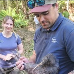 Do you have a passion for Kiwi?
Positive news with #candokiwis 
&lsquo;Thrilling&rsquo;: Young kiwi sighting a milestone for iwi restoration efforts. The sighting of a young kiwi at Ngā Roto-o-Rangataua near Ohakune is being celebrated as a significa