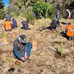 Do you have a passion for the environment &amp; community?
Positive news with #candokiwis 
Hawke's Bay community makes big effort to restore native A'Deane's Bush. A small community in rural Hawke's Bay is working hard to restore a large area of prec