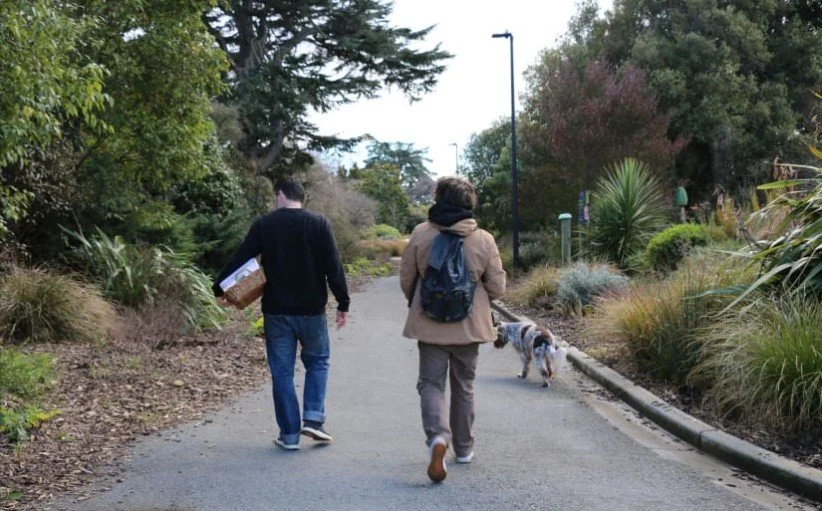 Do you have a passion for foraging? 

Lifelong Learning with #candokiwis 

Interesting fact. Country Life: Christchurch red zone plants on Michelin-starred menu. Pink peppercorn trees, creeping juniper, miner's lettuce, blackboy peaches - Adam Harris