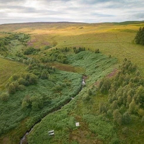 Do you have a passion for the environment &amp; community?

Positive news with #candokiwis 

&lsquo;Britain&rsquo;s Yellowstone&rsquo;: restoration project aims to take the greed out of land acquisition. Investors in Emblehope Moor will get their fin