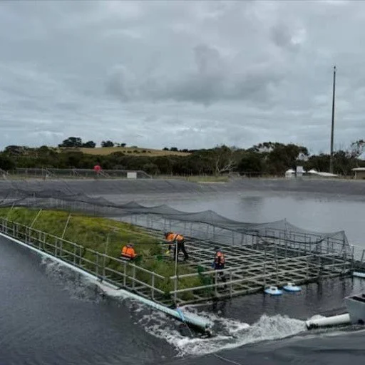 Do you have a passion for the environment?

Positive news with #candokiwis 

Can floating wetlands be used to cut emissions? Researchers believe a floating garden of native Australian plants on a wastewater lagoon in Victoria's east could help tackle