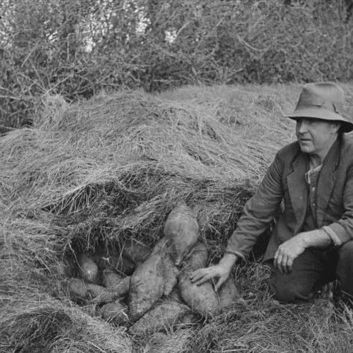 Do you have a passion for photography?

Positive news with #candokiwis 

Country Life: The farm photographer who captured a changing New Zealand. Ron Vine's crisp, observant and sometimes intimate black and white photos capture New Zealand farming at