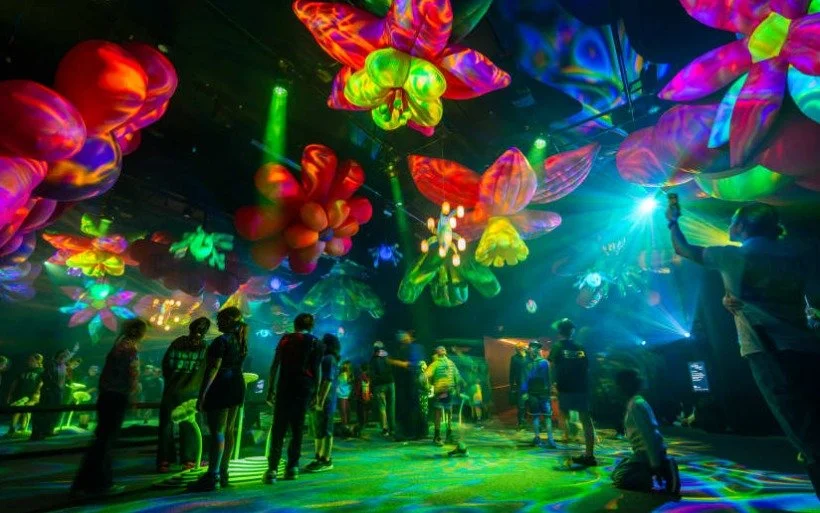 Do you have a passion for art &amp; community?

Positive news with #candokiwis 

Darklight Hidden World transforms TSB Showplace. Famed for its summer Festival of the Lights, New Plymouth has put a twist on the audio visual experience and taken it in