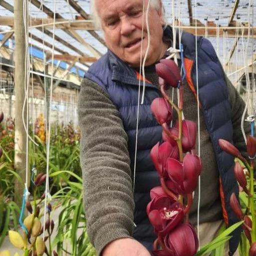 Do you have a passion for orchids?

Positive news with #candokiwis 

Country Life: A little place in Taranaki, blooming around the world. Eric Lander's eye for on-trend colours has helped him turn a struggling Taranaki sheep farm into a large orchid 