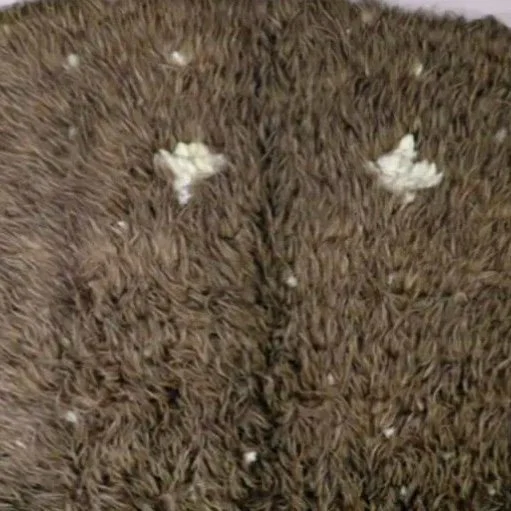 Do you have a passion for culture?

Positive news with #candokiwis 

British museum returns 126-year-old kahu kiwi to Marlborough iwi. More than 125 years after a kiwi-feather cloak was given away, it's finally being returned by a British museum to t