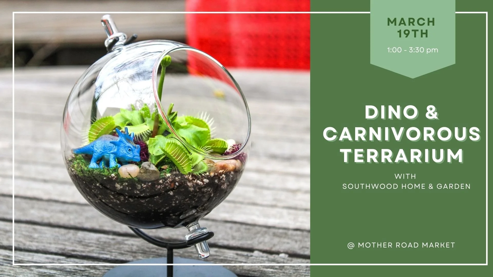 Dino & Carnivorous Terrarium with Southwood