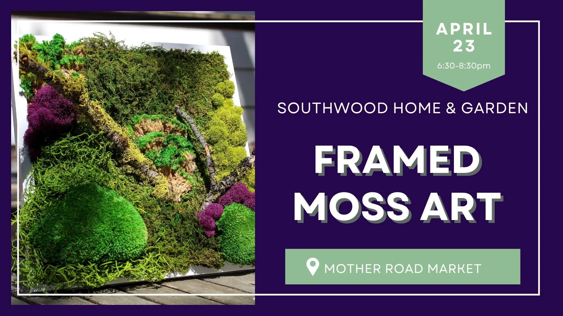 Framed Moss Art with Southwood