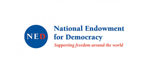 ned_logo.png