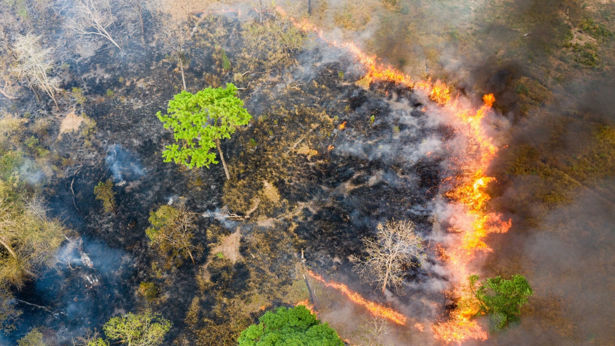 Cambodia-Burning-Sean-Gallagher-1_web.jpg