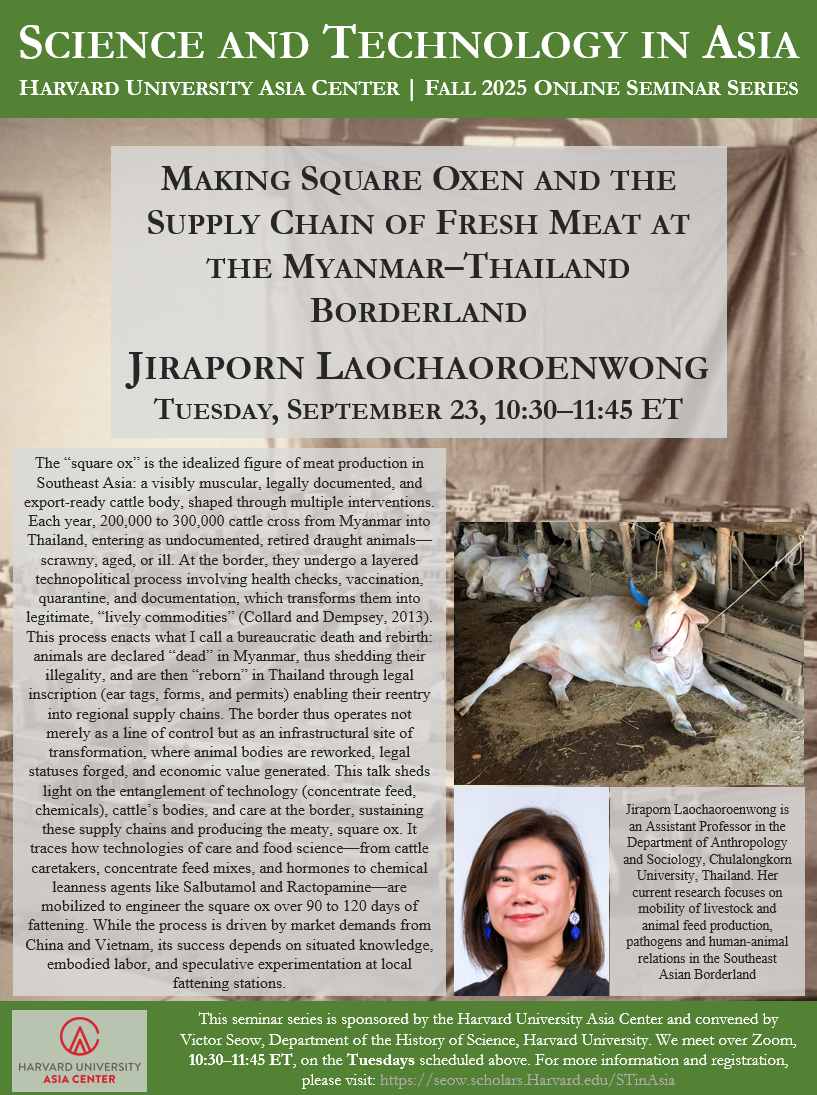Making Square Oxen and the Supply Chain of Fresh Meat at the Myanmar