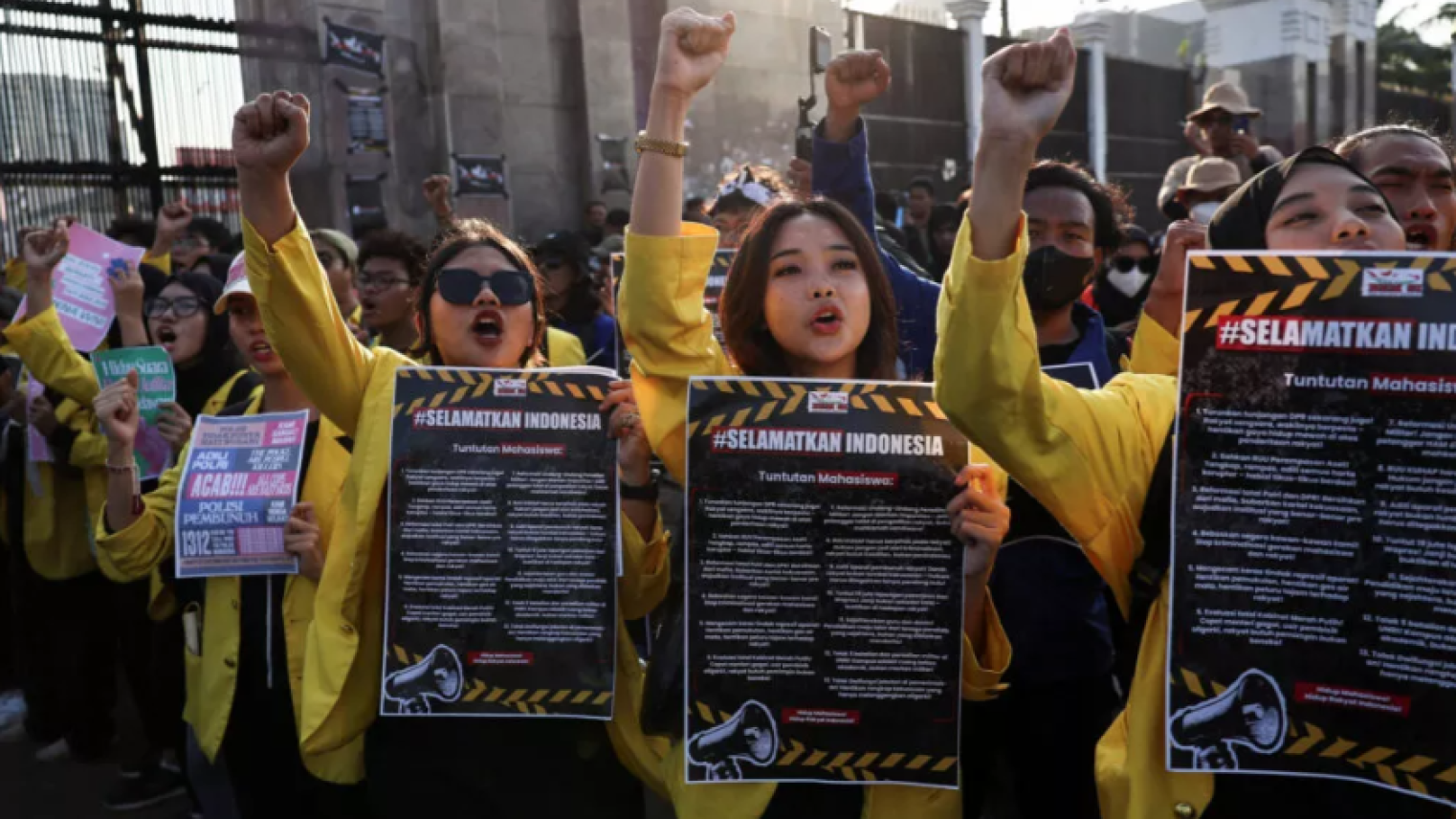 Elsam International Human Rights Day: The Evolution of Human Rights Activism ...