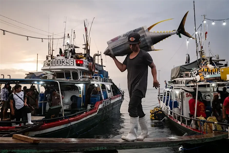 Overfishing in Southeast Asia, an Ecological and Human Crisis Opening Reception
